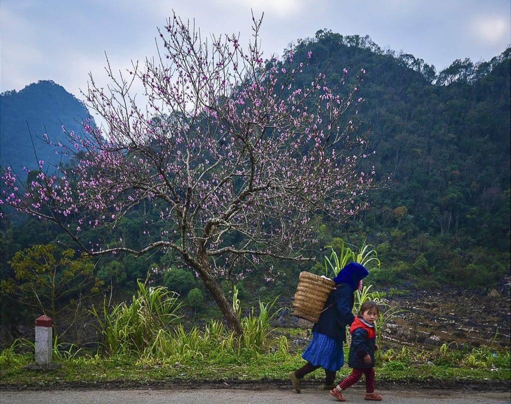 12 Ha Giang